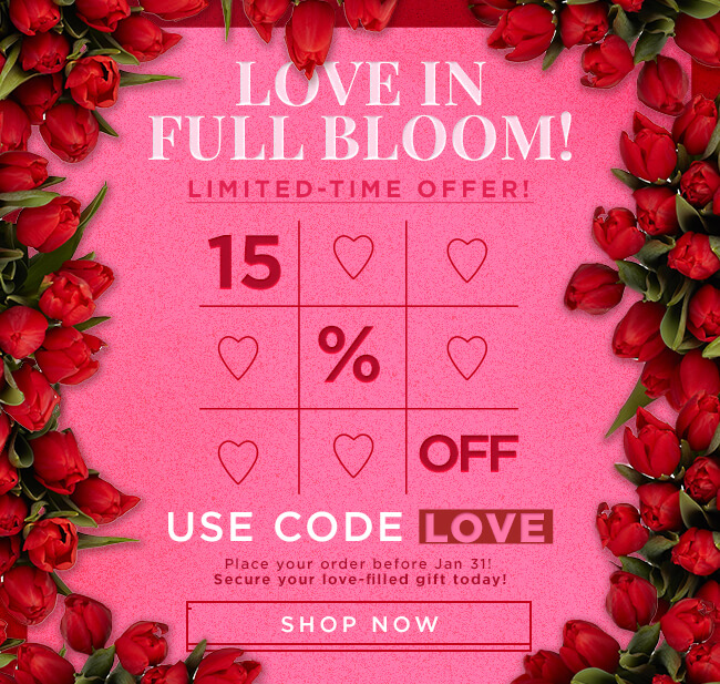 Juno Beach Florist Fresh Flowers Delivered to Your Door 5616261195